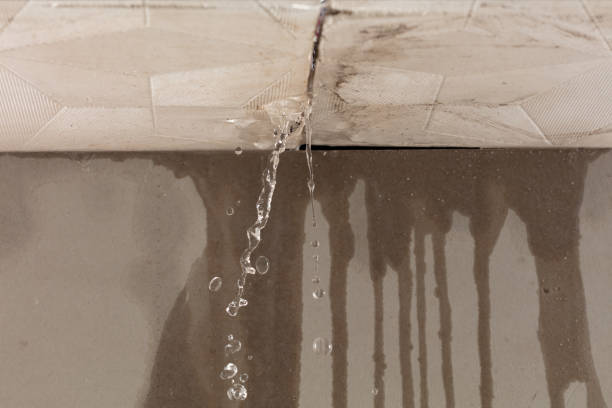 Professional Structural Drying technician working in Wallisville, TX